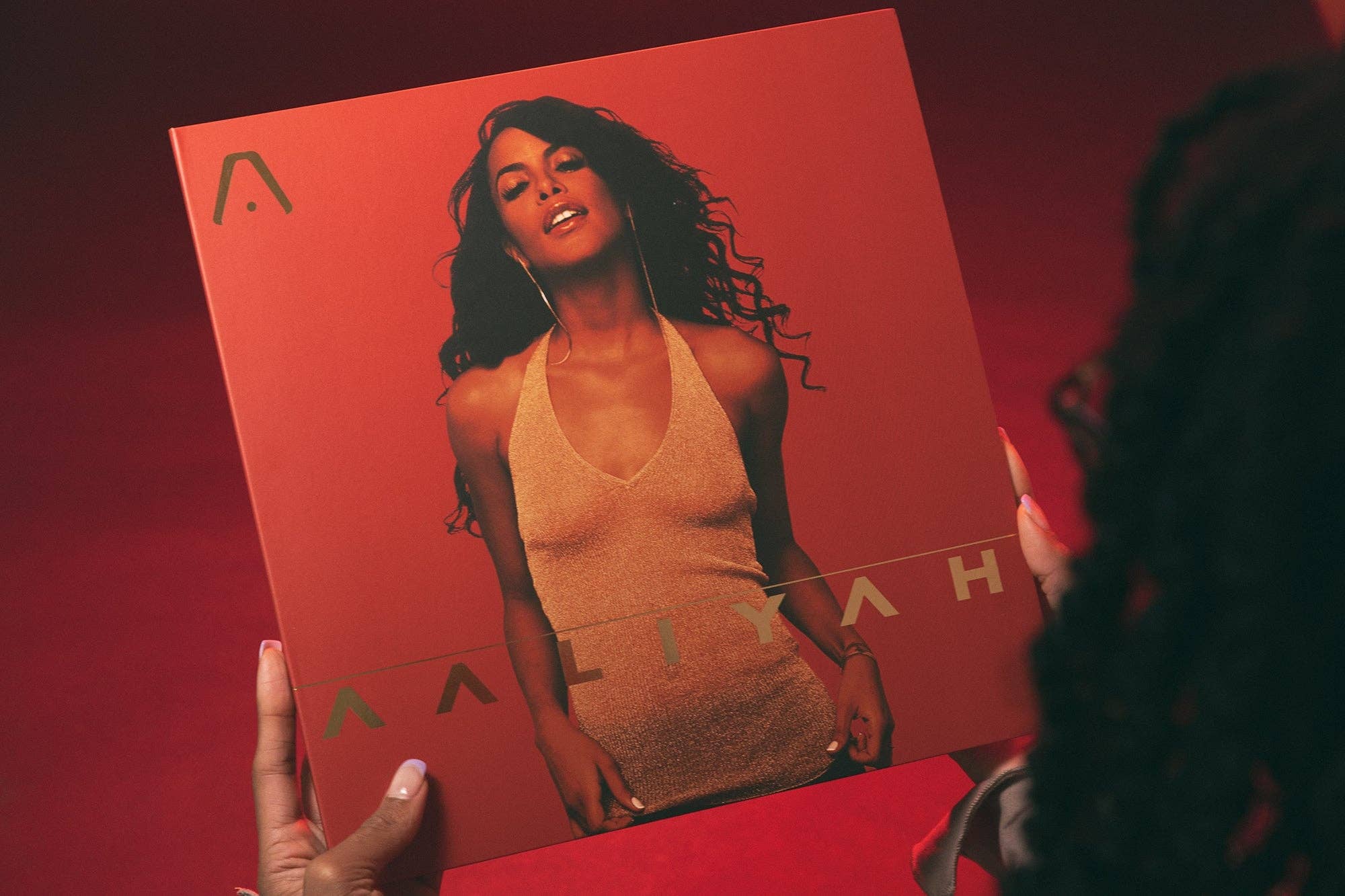 Aaliyah — Aaliyah | 2001 R&B Vinyl LP - Image 9