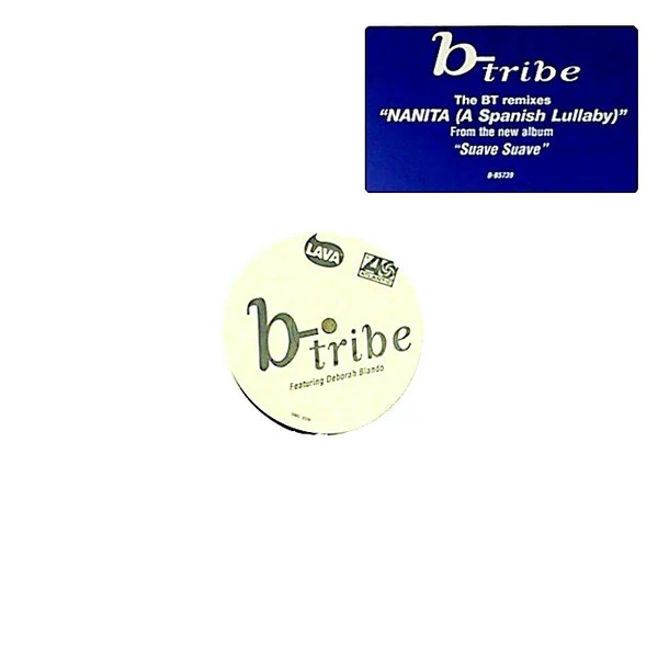 B-Tribe - Nanita (A Spanish Lullaby) (The BT Remixes) (12") (Very Good Plus (VG+)) - Image 3