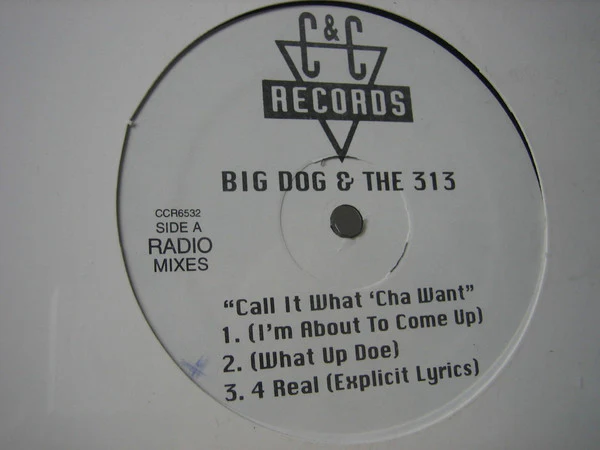 Big Dog* - Call It What'cha Want (12", EP, Maxi) (Near Mint (NM or M-))