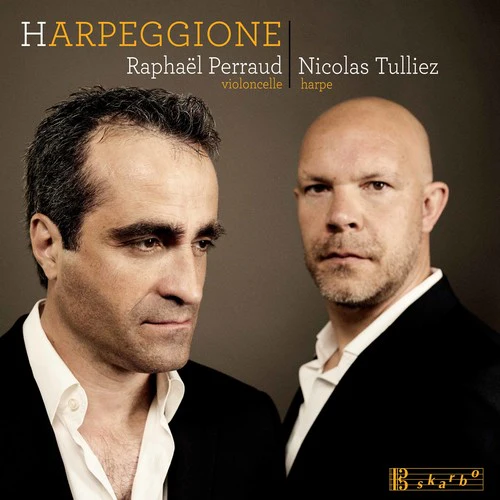Bloch / Tulliez / Perraud - Harpeggione (CD)