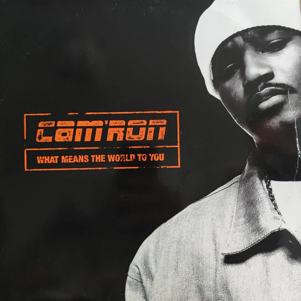 Cam'ron - What Means The World To You (12", Promo) (Very Good Plus (VG+)) (Very Good (VG))