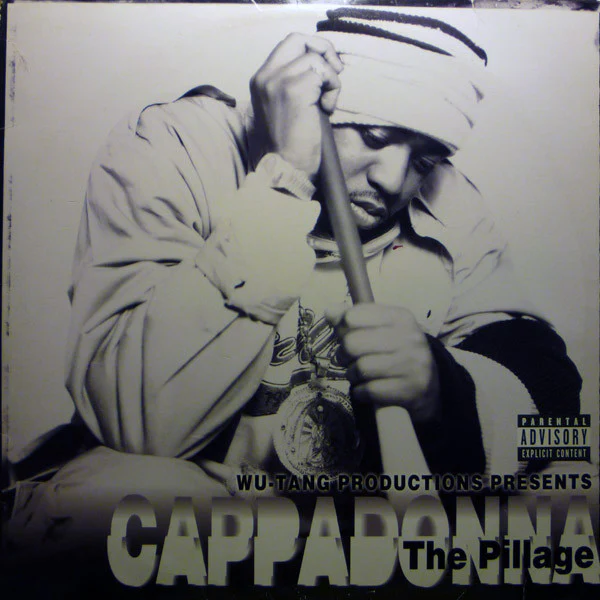 Cappadonna - The Pillage (2xLP, Album) (Very Good (VG))