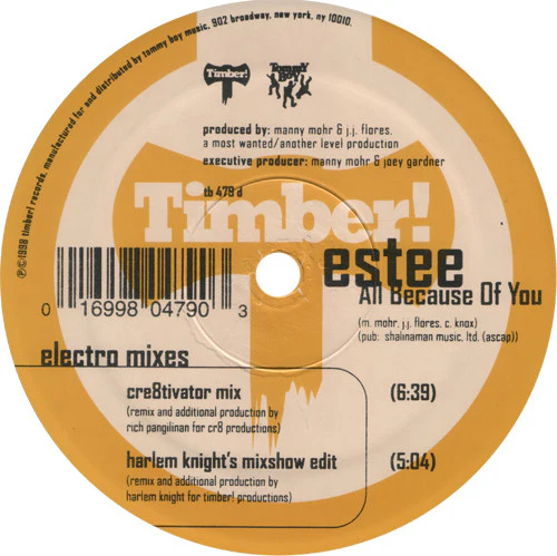 Estee - All Because Of You (2x12") (Very Good Plus (VG+)) - Image 4