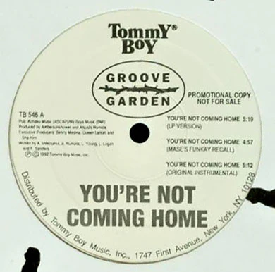 Groove Garden - You're Not Coming Home (12", Promo) (Very Good Plus (VG+)) (Very Good Plus (VG+))