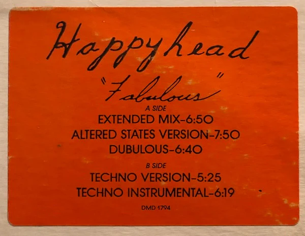 Happyhead - Fabulous (12", Promo) (Very Good Plus (VG+)) (Generic) - Image 4
