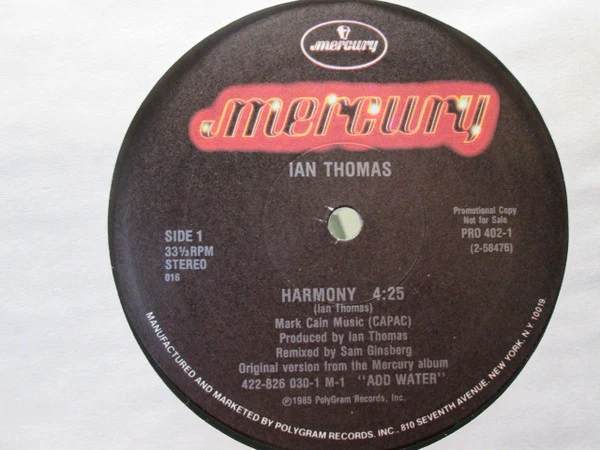 Ian Thomas  - Harmony (12", Promo) (Near Mint (NM or M-)) - Image 2