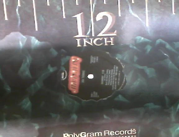 Ian Thomas  - Harmony (12", Promo) (Near Mint (NM or M-)) - Image 3