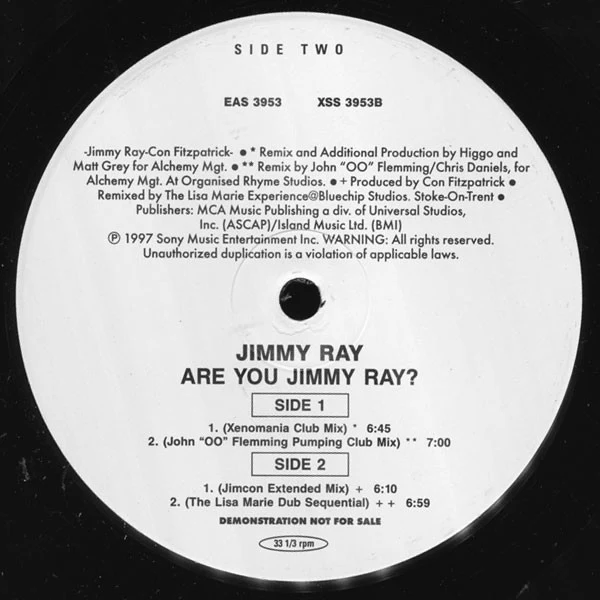 Jimmy Ray - Are You Jimmy Ray? (The Remixes!) (12", Promo) (Very Good Plus (VG+))