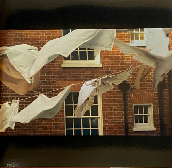 Kate Bush - Remastered In Vinyl III (2xLP, Album, RE, RM + 2xLP, Album, RE, RM + 2xLP, ) (Very Good Plus (VG+)) (Very Good Plus (VG+)) - Image 5