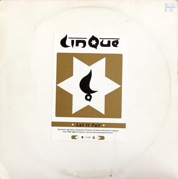 Lin Que - Let It Fall (12", Promo) (Very Good Plus (VG+))