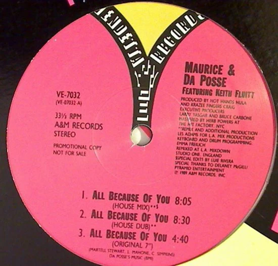 Maurice* & Da Posse - All Because Of You (12", Promo) (Very Good Plus (VG+)) (Very Good Plus (VG+))