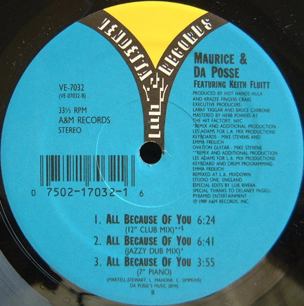 Maurice* & Da Posse - All Because Of You (12") (Very Good Plus (VG+)) - Image 2