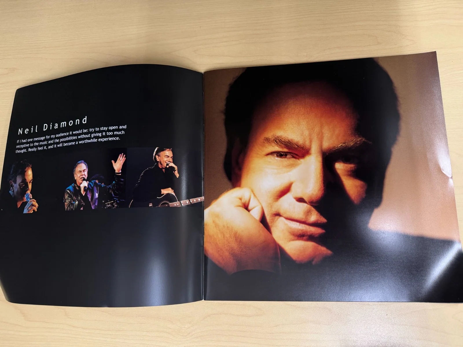 NEIL DIAMOND World Tour program 2001-2002 with original ticket stub - Image 4
