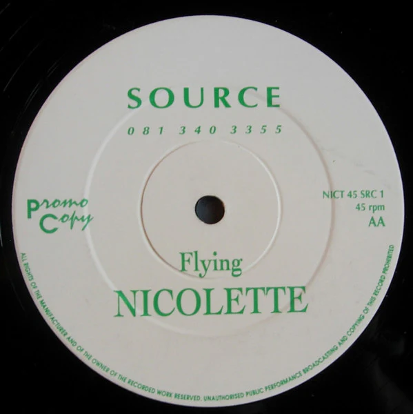 Nicolette - No Government (12", Promo) (Very Good Plus (VG+)) (Very Good Plus (VG+)) - Image 2