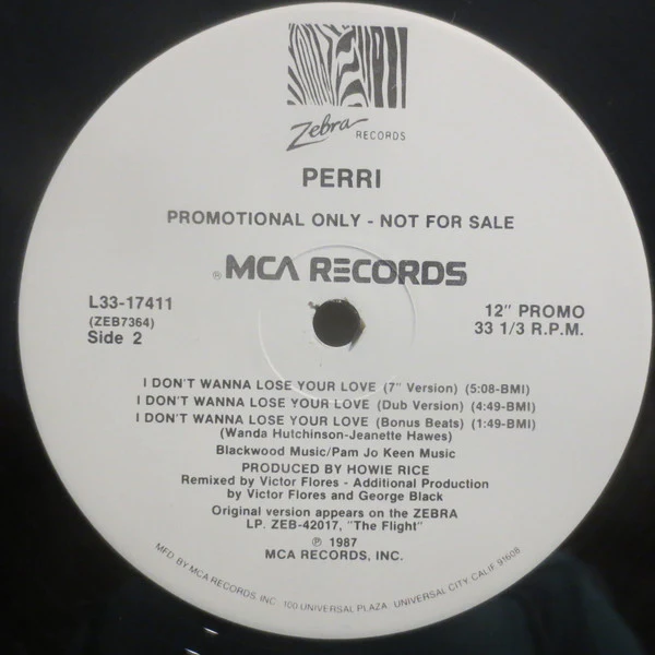 Perri - I Don't Wanna Lose Your Love (12", Promo) (Very Good Plus (VG+)) - Image 2