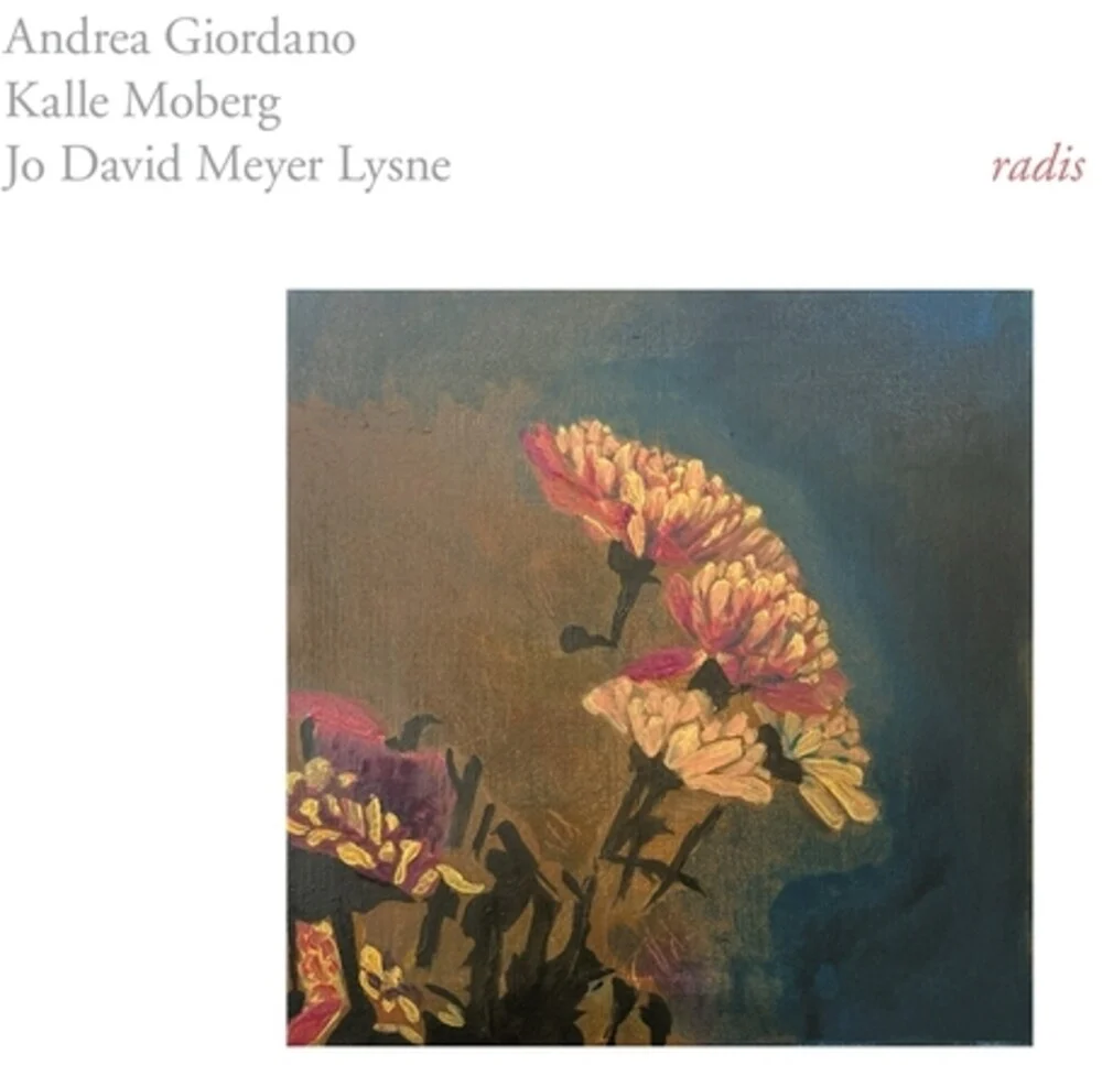 Andrea Giordano  / Moberg,Kalle - Radis (LP)