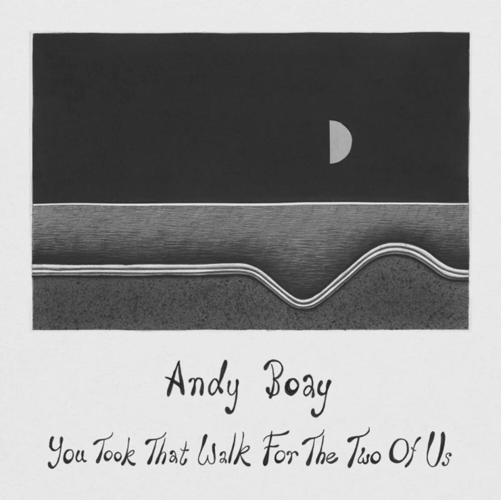 Andy Boay - You Took That Walk For The Two Of Us (LP)