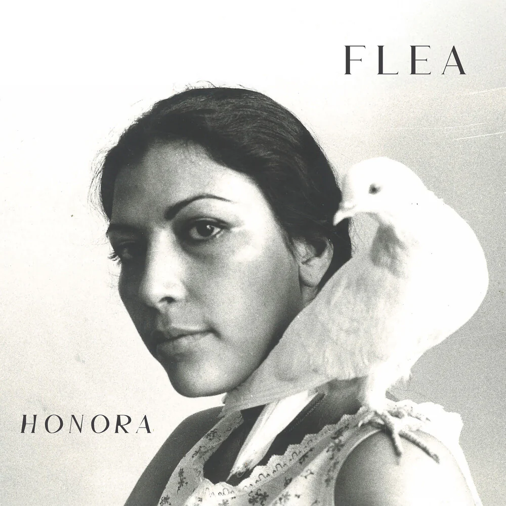 Flea - Honora (Etched Black)