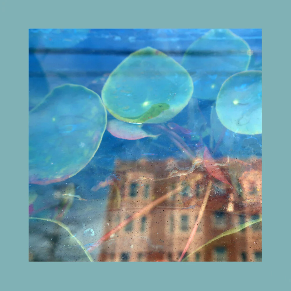 Reds Pinks & Purples - Acknowledge Kindness (CD)