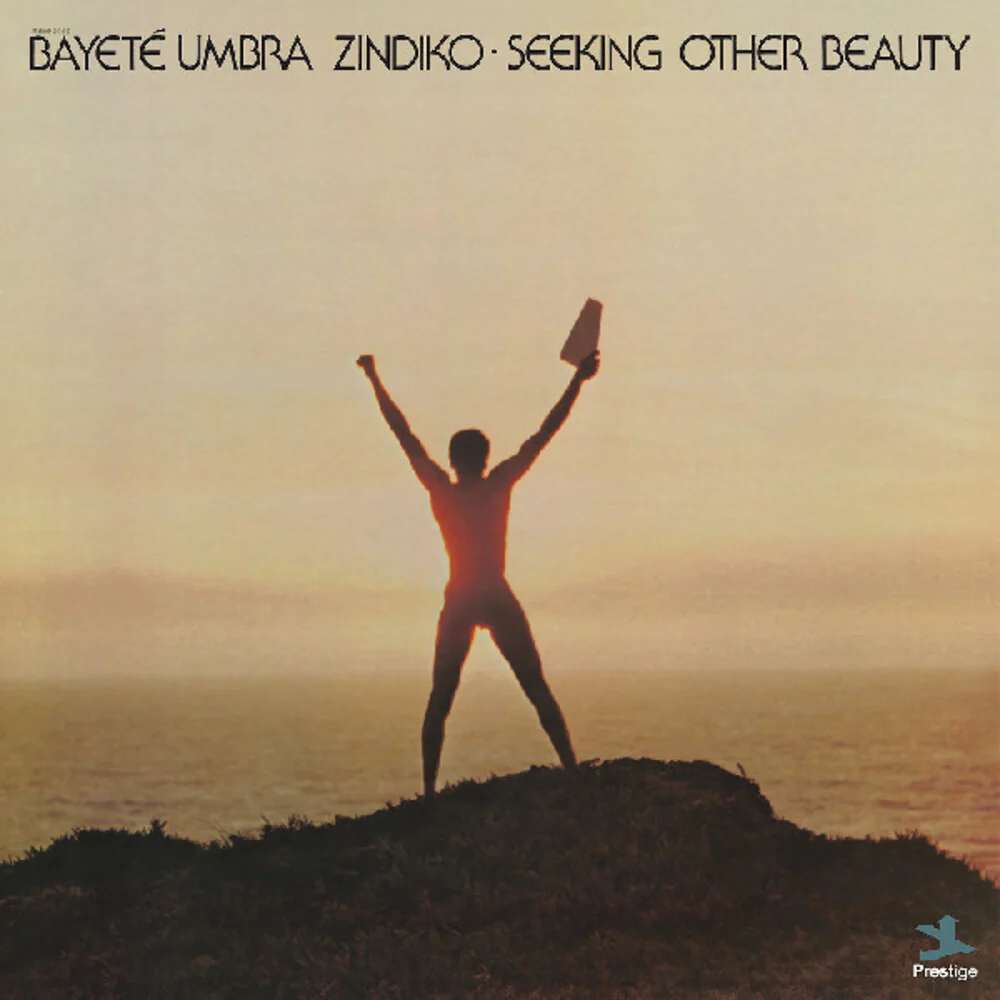 Umbra Bayete Zindiko - Seeking Other Beauty (All-Analog) (Colored Vinyl)