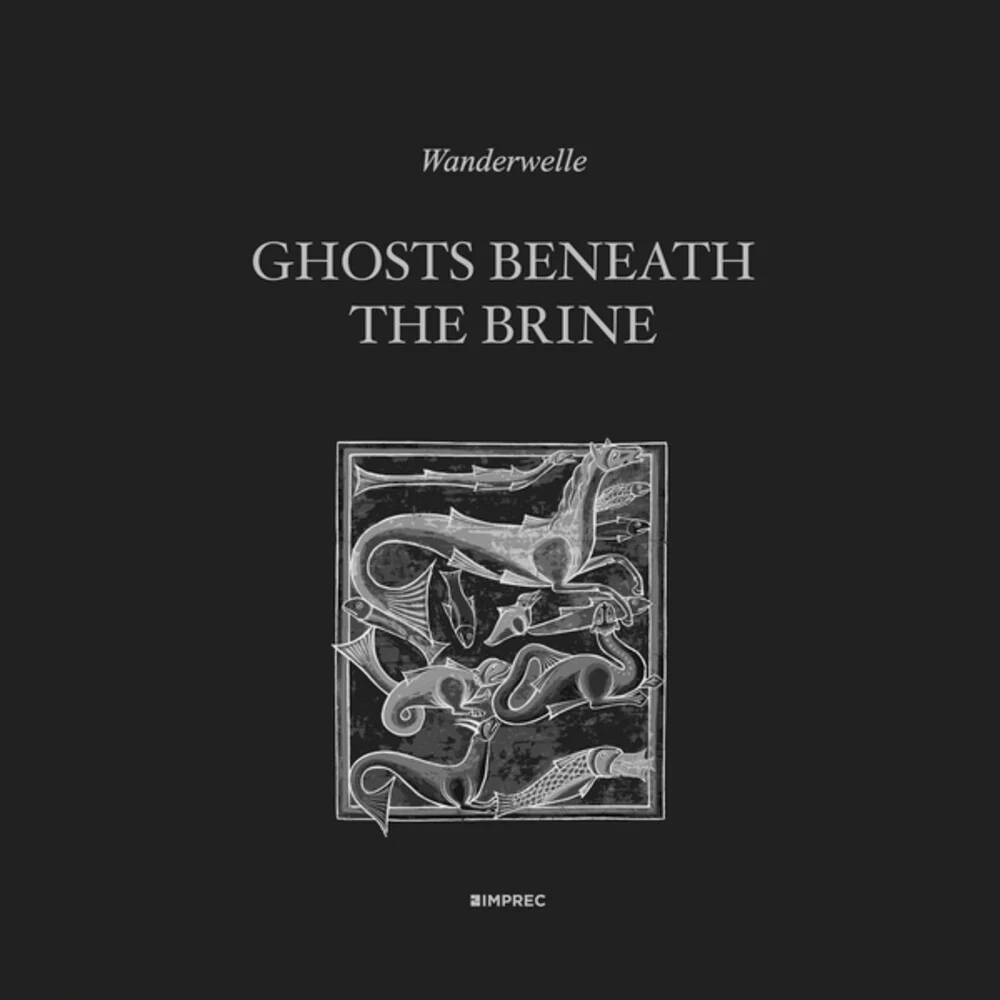 Wanderwelle - Ghosts Beneath the Brine (LP)