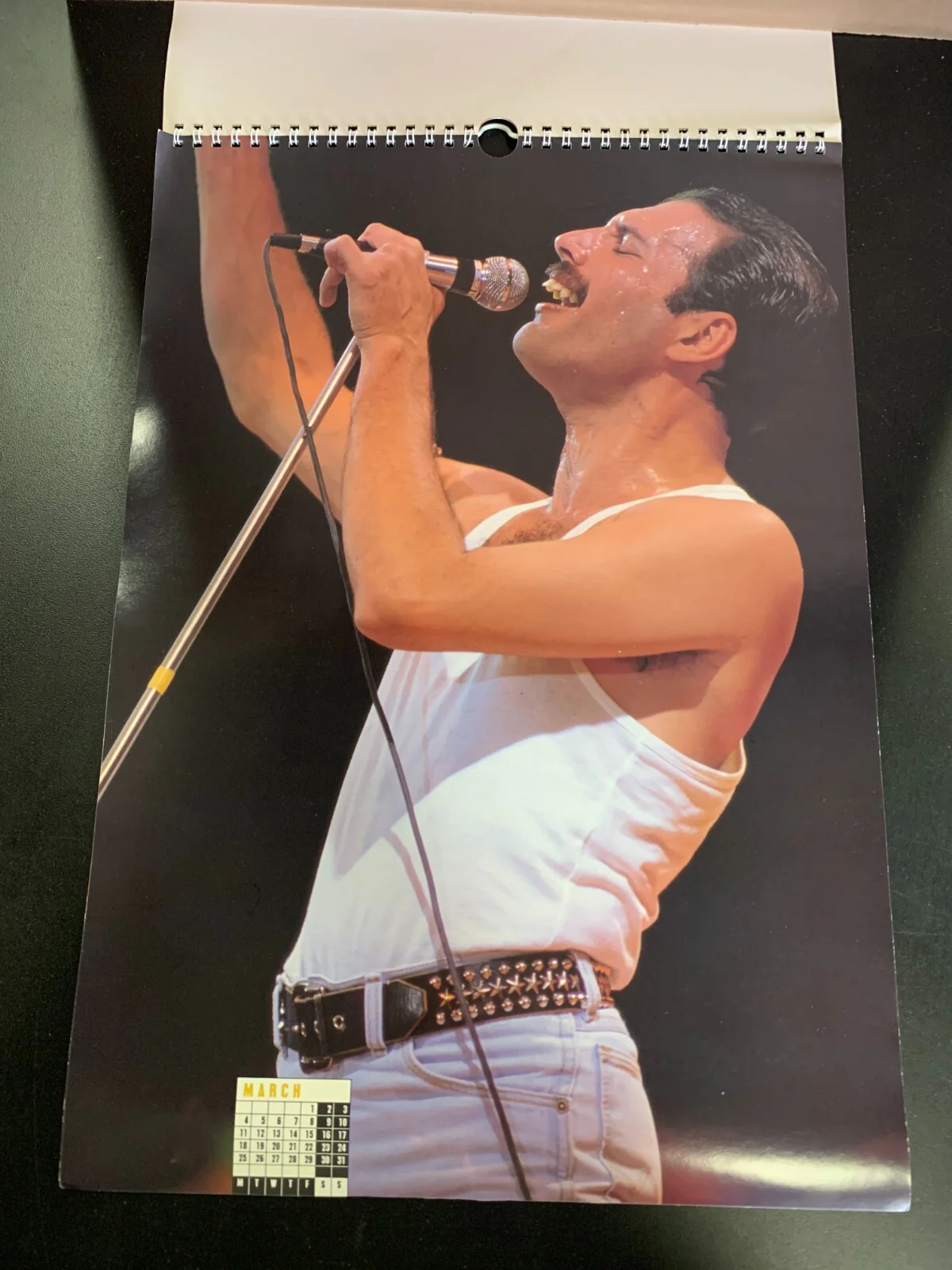 Queen (Freddie Mercury) -1991 calendar - Image 3