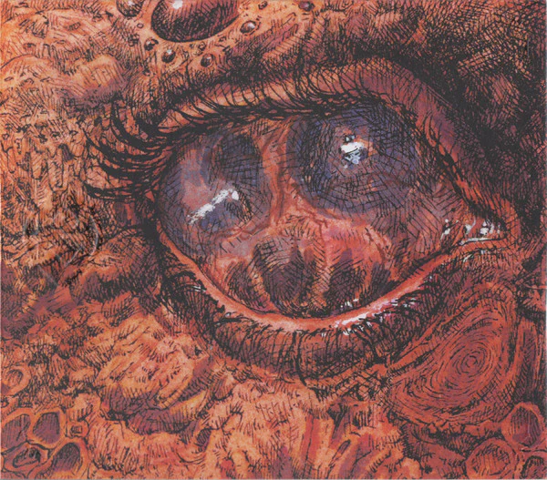 Shardik - Cruelty Bacchanal (CD, Album) (Near Mint (NM or M-))
