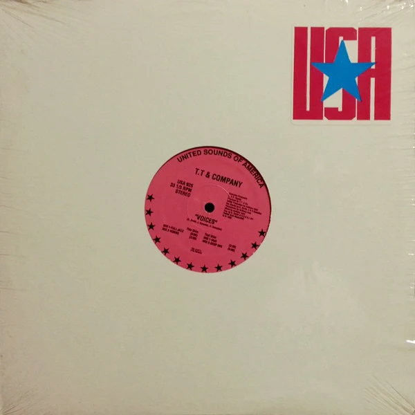T.T. & Company - Voices (12") (Near Mint (NM or M-))