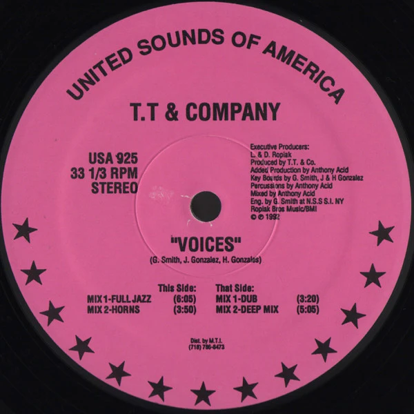 T.T. & Company - Voices (12") (Near Mint (NM or M-)) - Image 2