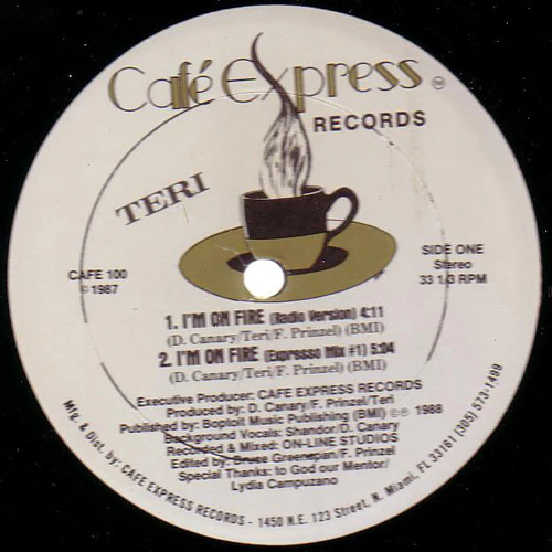 Teri - I'm On Fire (12") (Very Good Plus (VG+))