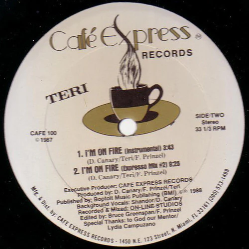 Teri - I'm On Fire (12") (Very Good Plus (VG+)) - Image 2