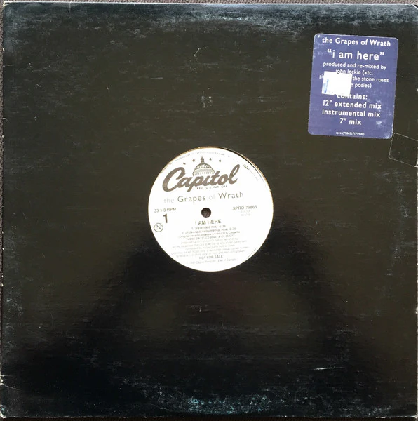 The Grapes Of Wrath - I Am Here (12", Promo) (Very Good Plus (VG+))