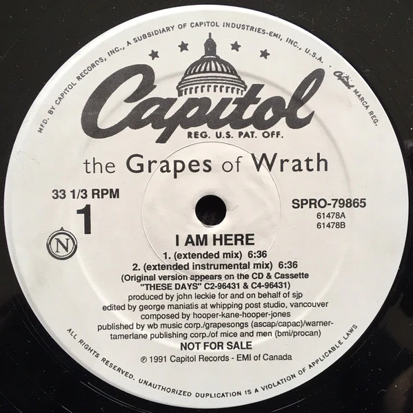 The Grapes Of Wrath - I Am Here (12", Promo) (Very Good Plus (VG+)) - Image 2