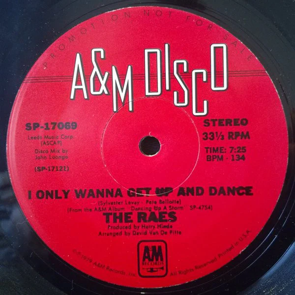 The Raes - I Only Wanna Get Up And Dance (12", Promo) (Very Good Plus (VG+)) - Image 2