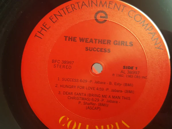 The Weather Girls - Success (LP, Album) (Very Good Plus (VG+)) - Image 5