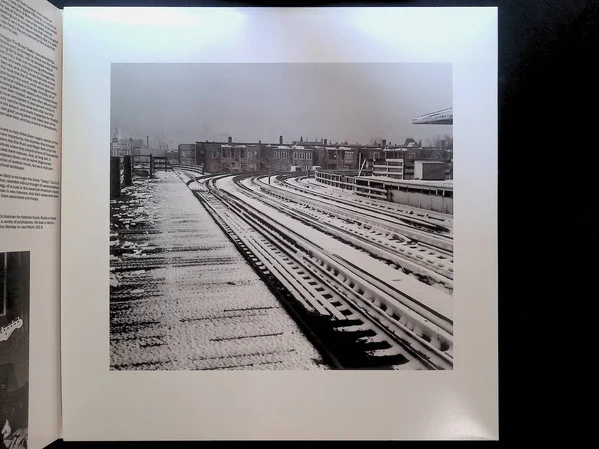 Various - Chicago/The Blues/Today! (3xLP, RSD, Comp, Ltd, RE, RM, 180) (Very Good Plus (VG+)) (Very Good Plus (VG+)) - Image 2