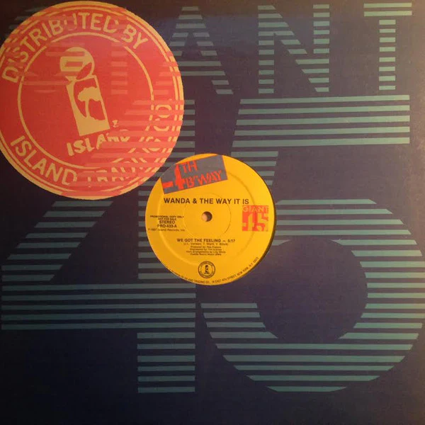 Wanda & The Way It Is - We Got The Feeling (12", Promo) (Very Good Plus (VG+))